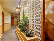 Photo of Common Area Hallway